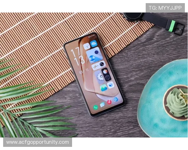 深入探讨亚游ag8网站的安全性与用户保护措施