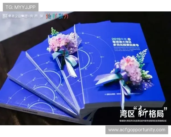 AG寰亚娱乐在全球市场的布局策略与未来发展规划